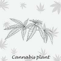 eenvoud cannabisplant uit de vrije hand tekenen plat ontwerp. vector