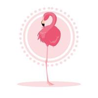 mooie flamingo vogelstandaard vector