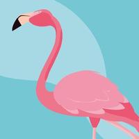 mooie flamingo vogelstandaard vector