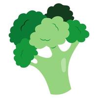 groen broccoli tekening icoon vector