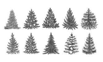 kerstboom hand getekende illustratie vector