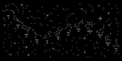 astrologisch sterrenbeelden van de dierenriem tekens Aan de achtergrond van de kosmos, set. goud en zwart ontwerp. horoscoop, vector