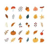 reeks van schattig paddestoel en vaag voor herfst ontwerp element. verzameling van gemakkelijk tekenfilm van natuur hand- getrokken illustratie. vector