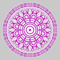 kleurrijk mandala decoratief ornamenten vector