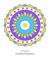 kleurrijk mandala decoratief ornamenten vector