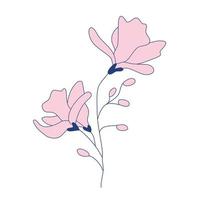 magnolia Afdeling met bloemknoppen en bloemen, bloemen botanisch kleur ontwerp. bloemen motieven voor tatoeëren afdrukken muur kunst omslag. esthetisch elegant subtiel gemakkelijk vector illustratie.