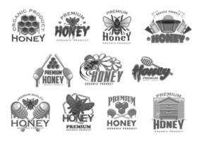 honing bijenteelt bij en honingraat vector pictogrammen