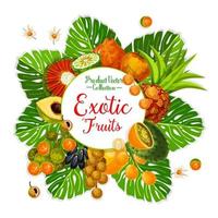 exotisch fruit en BES poster met tropisch palm vector