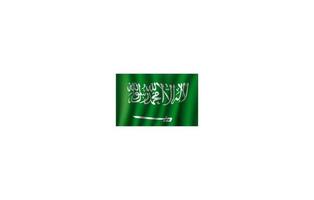 vector 3d vlag van saudi Arabië nationaal symbool