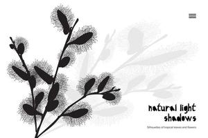 abstract banier met zwart kutje wilg bladeren schaduw geïsoleerd Aan wit achtergrond. wijnoogst stijl presentatie sjabloon vector