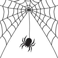 web en spin. illustratie voor halloween vector