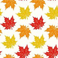 naadloos patroon met esdoorn- bladeren. hand- getrokken vector illustratie in warm kleuren. achtergrond voor herfst oogst vakantie, dankzegging, halloween, seizoensgebonden, textiel, scrapbooken.