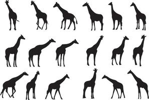 de reeks van de giraffe silhouet verzameling vector