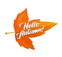 Hallo herfst poster met oranje marple blad vector