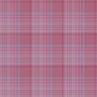 naadloos patroon in interessant discreet roze en donker grijs kleuren voor plaid, kleding stof, textiel, kleren, tafelkleed en andere dingen. vector afbeelding.