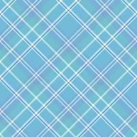 naadloos patroon in interessant schattig blauw en wit kleuren voor plaid, kleding stof, textiel, kleren, tafelkleed en andere dingen. vector afbeelding. 2