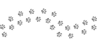 poot voetafdruk van dier. kat bijhouden voor achtergronden, patronen, ontwerp, groet kaarten, kind prints en enz. vector illustratie