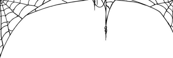 halloween partij achtergrond met spinnenweb geïsoleerd PNG of transparant textuur,blanco ruimte voor tekst,element sjabloon voor affiche, brochures, online reclame, vector illustratie
