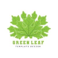 blad logo groen fabriek ontwerp bladeren van bomen Product merk sjabloon illustratie vector