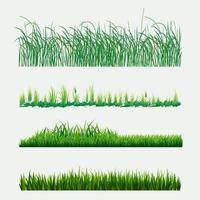gras illustratie ontwerp bundel. natuur kunst vector