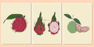 een reeks van muur kunst bloem blad en fruit vector