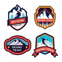 reeks van ski patrouille, ski toevlucht, ijs berg badges en logo lappen. winter vakantie extreem sport- logo. vector