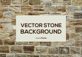 Vector Stenen Achtergrond