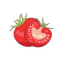 een geheel tomaat met een besnoeiing voor de helft Aan een wit achtergrond vector