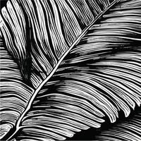 exotisch bladeren naadloos patroon in zwart en wit. elegant abstract vector decoratief achtergrond. tropisch palm bladeren, oerwoud blad naadloos vector bloemen patroon. grunge tropisch stijl behang.