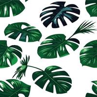 groen monstera patroon wit achtergrond. exotisch patroon met tropisch bladeren. vector illustratie. monstera blad patroon. tropisch palm bladeren. exotisch ontwerp kleding stof, textiel afdrukken, omhulsel papier