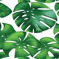 groen monstera patroon wit achtergrond. exotisch patroon met tropisch bladeren. vector illustratie. monstera blad patroon. tropisch palm bladeren. exotisch ontwerp kleding stof, textiel afdrukken, omhulsel papier