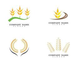 set van tarwe logo ontwerp vector