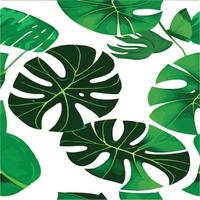 groen monstera patroon wit achtergrond. exotisch patroon met tropisch bladeren. vector illustratie. monstera blad patroon. tropisch palm bladeren. exotisch ontwerp kleding stof, textiel afdrukken, omhulsel papier