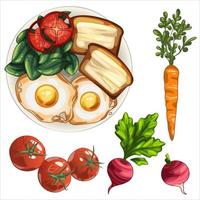 gezond bord met ei, geroosterd brood met boter, spinazie en tomaten. ingrediënten wortel en radijs vector