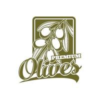 olijven boerderij embleem, olijf- olie vector etiket