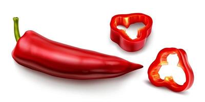 rood Chili peper, heet pittig paprika cayenne vector