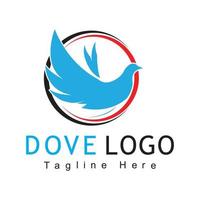 vogel duif logo sjabloon vector