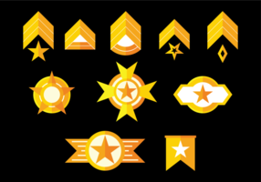 Brigadier badges vector