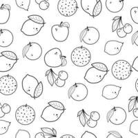 naadloos patroon in de stijl van zwart en wit fruit lijnen vector