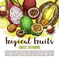 tropisch fruit poster van exotisch Aziatisch BES schetsen vector