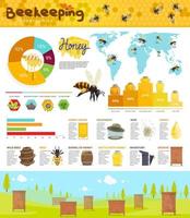 bijenteelt en honing productie infographic vector