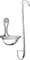 cyathus, wijnoogst illustratie. vector