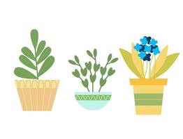 verzameling van drie huis planten. vector illustratie in vlak stijl Aan wit achtergrond.