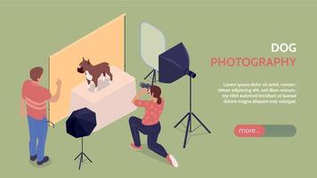 hond fotografie reclame horizontaal banier vector