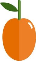 oranje abrikoos, illustratie, vector Aan wit achtergrond.