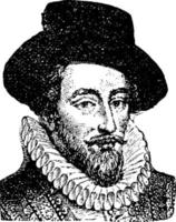 meneer walter raleigh, wijnoogst illustratie vector