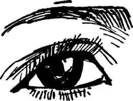 menselijk oog, wijnoogst illustratie. vector