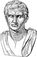 pompeus, wijnoogst illustratie vector