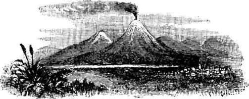 berg, wijnoogst illustratie. vector