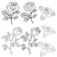 hand- getrokken roos lijn tekening afbeeldingen illustratie verzameling vector